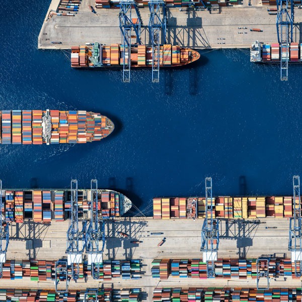 Nαυτιλιακός Κλάδος